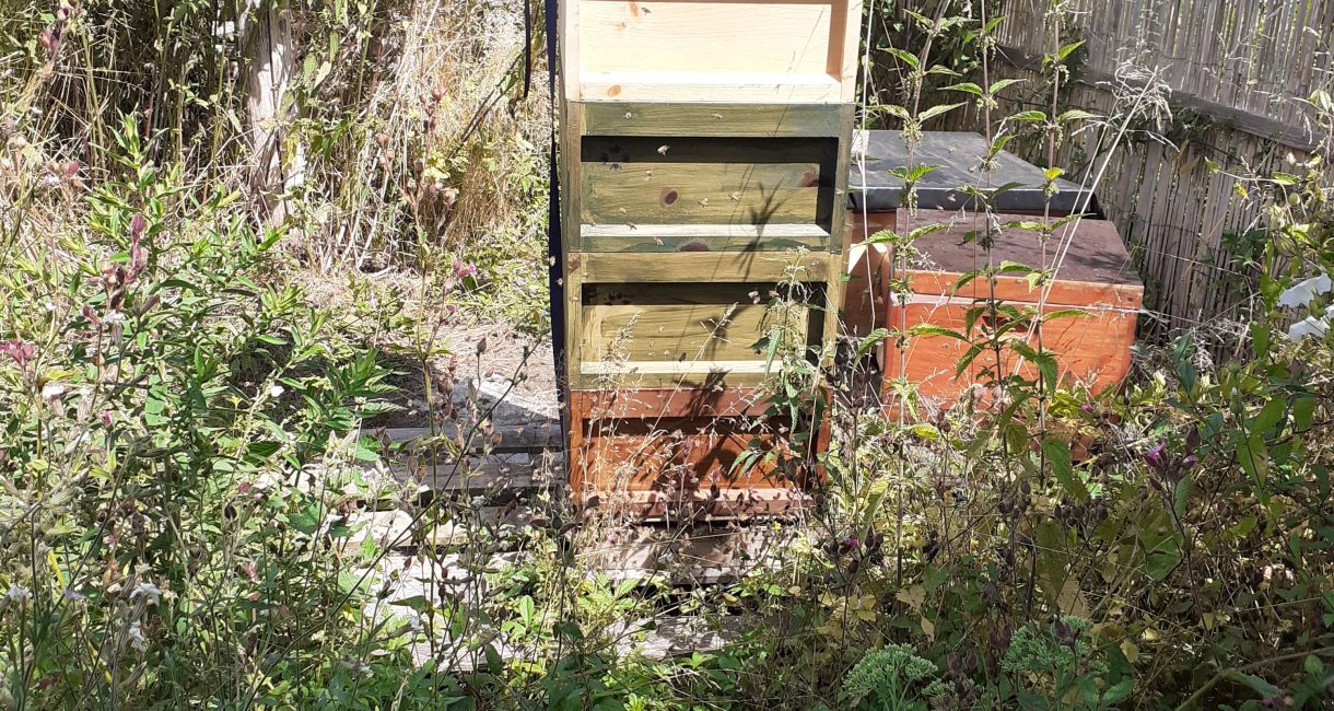 Spätsommer am Bienenstand
